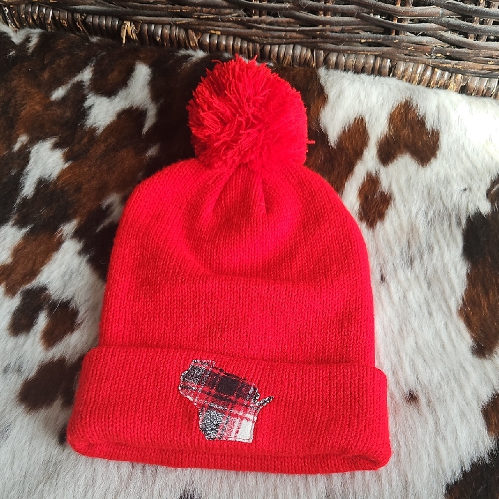 Cozy Red Wisconsin Pom-Pom Adult Beanie